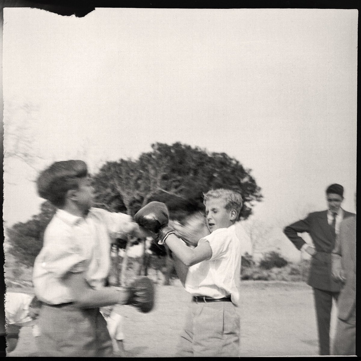 La relación del rey emérito con el boxeo viene de lejos. Aquí le vemos boxeando con 10 años en 1948 con compañeros en la finca de Las Jarillas. Archivo del Ministerio de la Imagen Perdida

#iliatopuria #JuanCarlosI
