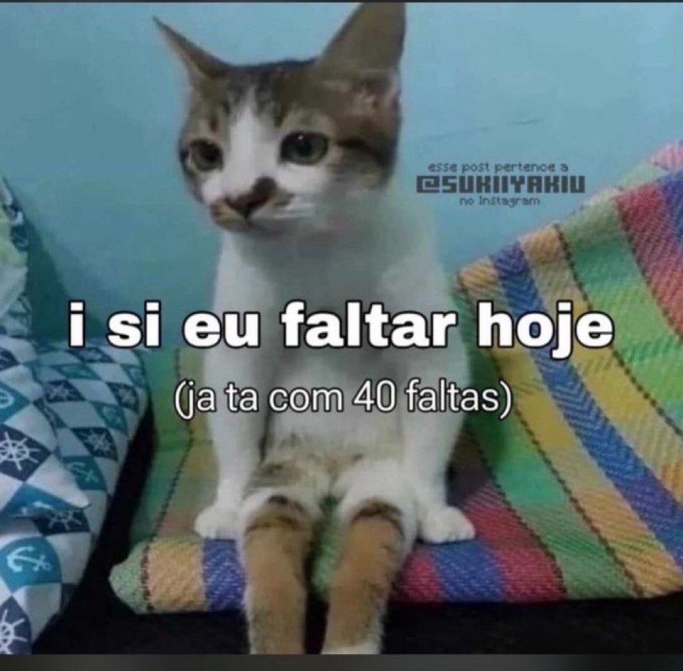 Trouxinha (@euovitinn) on Twitter photo 