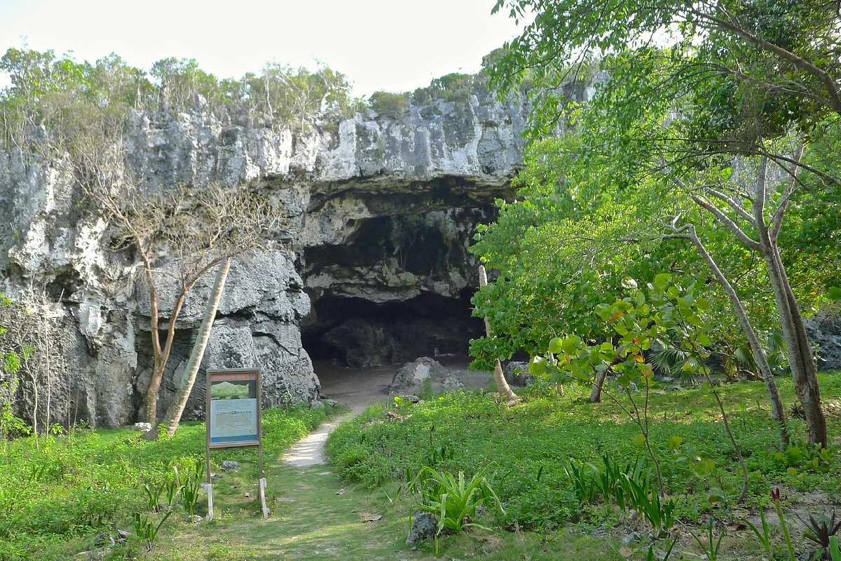 TropicalImpulse's tweet photo. Discover your dream getaway in Eleuthera, Bahamas! Explore beautiful houses for rent with stunning views and tropical charm. Book now at https://t.co/C93cpq7eLM
#Eleuthera #BahamasRentals #TropicalEscape #TropicalImpulse https://t.co/wPA1iM6UkO