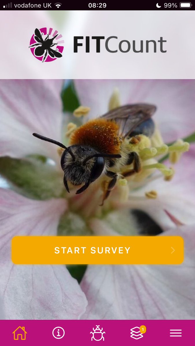 PoMScheme's tweet photo. The #FITcount app is launched in 11 countries, enabling access to the Flower-Insect Timed Count survey for monitoring #pollinators and connecting communities with nature. Great to see it featured at #COP16Colombia https://t.co/U8UdYxBEqS