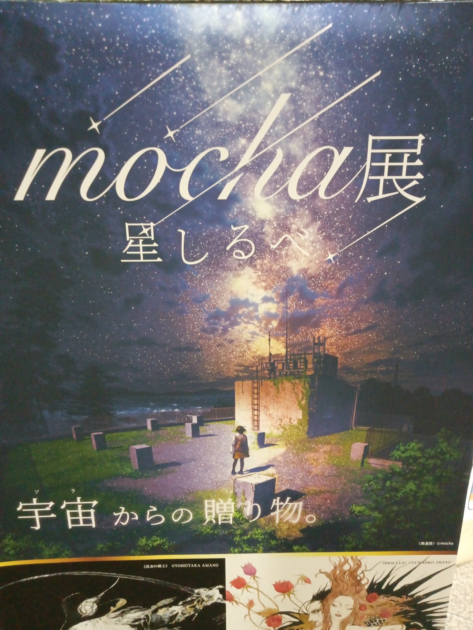 mocha展星しるべ - Search / X