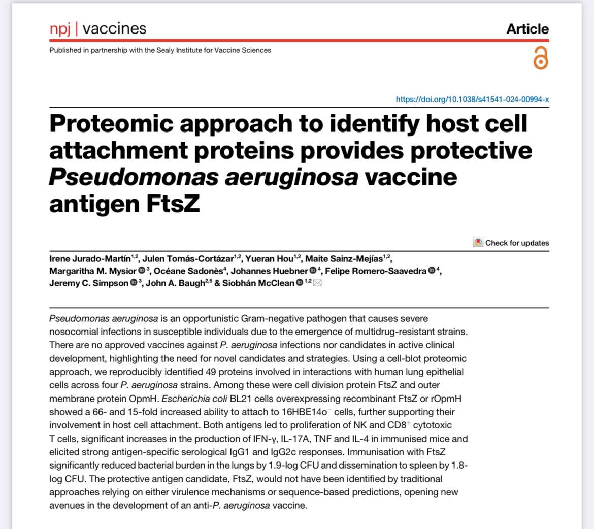 mcclean_siobhan's tweet image. Congratulations! @IreneJurado6
1st PhD research paper is out
Irene identified several vaccine antigen against P. aeruginosa. Paper describes how FTsZ ⬇️ lung bioburden & dissemination to spleen by almost 2.0 log10 CFU
rdcu.be/dYp3F
@BactiVax @MSCActions
@REA_research