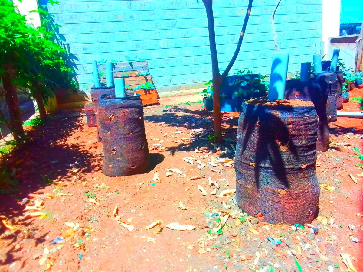 UnganoTena's tweet image. 🌍🌱 Through #PEISProject, we’re planting climate-resilient veges to tackle climate change &amp;amp; ensure food security. Each seed we plant adapts to unpredictable weather, helping create a sustainable, green future. Join us in cultivating change, one crop at a time! 🌿#SDG2 #SDG13