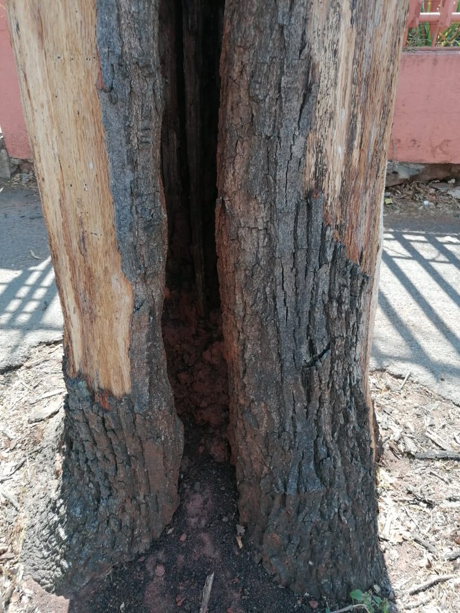 Claudio Buffa Pace (@cbuffapace) on Twitter photo 