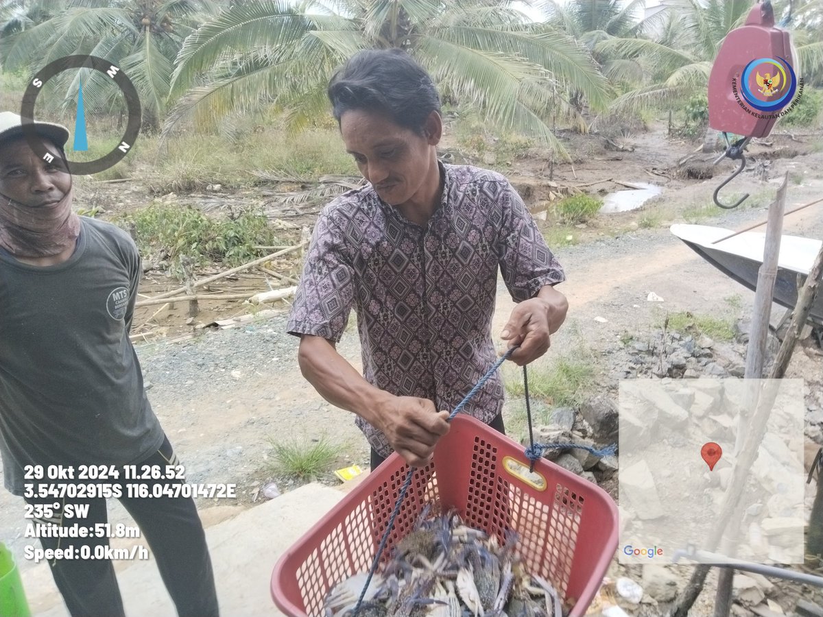 arhas_hakim's tweet photo. Selasa, 29/10/24, Arif Hakim Saadi, Luhkan Kotabaru, mlaporkan hsl tngkpn dgn trammel net, oleh plku utma an. Unus desa Salino dgn hsl tangkpn Rajungan sbnyk 9 kg,  harga Rp. 35.000/kg.  #GiatluhkansatminkalBWI #kotabaru #luhlapor https://t.co/JBcKuJ92wK