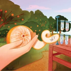 CNRS Chimie (@cnrschimie) on Twitter photo #chimie ⚗️ #ResultatScientifique 📕 🔎 l Une méthode innovante pour transformer le limonène, sous-produit de l'industrie des agrumes, en composés à haute valeur ajoutée
🤝 <a href="/CNRS_Paris/">CNRS Paris-Centre</a> <a href="/IPCM_Sorbonne/">Institut parisien de chimie moléculaire / IPCM</a> <a href="/casch_ipcm/">CASCH-IPCM</a> <a href="/PradalAlexandre/">Alexandre Pradal</a> <a href="/Sorbonne_Univ_/">Sorbonne Université</a>
➡️ inc.cnrs.fr/fr/cnrsinfo/va… #chimie ⚗️ #ResultatScientifique 📕 🔎 l Une méthode innovante pour transformer le limonène, sous-produit de l'industrie des agrumes, en composés à haute valeur ajoutée
🤝 <a href="/CNRS_Paris/">CNRS Paris-Centre</a> <a href="/IPCM_Sorbonne/">Institut parisien de chimie moléculaire / IPCM</a> <a href="/casch_ipcm/">CASCH-IPCM</a> <a href="/PradalAlexandre/">Alexandre Pradal</a> <a href="/Sorbonne_Univ_/">Sorbonne Université</a>
➡️ inc.cnrs.fr/fr/cnrsinfo/va…