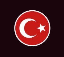 incisozluk's tweet photo. Cumhuriyetimizin 101. Yılına özel, beğeni butonuna basınca Türk Bayrağımız çıkıyor. ❤️

🇹🇷#AsBayraklarıAs https://t.co/QD1uYwyh6P