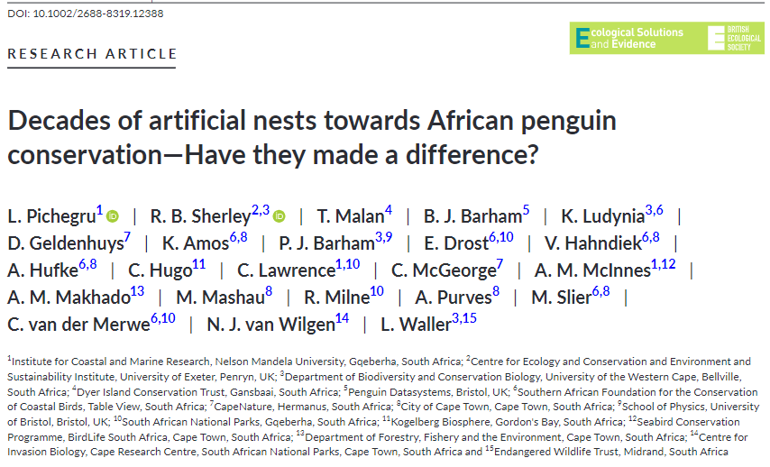 South African Network for Coastal&Oceanic Research (@sancorcommunity) on Twitter photo 🆕Study by Prof Pichegru <a href="/CMR_MandelaUni/">Institute for Coastal & Marine Research</a> et al. shows that artificial nests can boost #AfricanPenguin breeding output to 16.5%
🐧While different designs work best for different colonies, this is a promising step towards protecting this endangered species news.mandela.ac.za/News/Artificia… 🆕Study by Prof Pichegru <a href="/CMR_MandelaUni/">Institute for Coastal & Marine Research</a> et al. shows that artificial nests can boost #AfricanPenguin breeding output to 16.5%
🐧While different designs work best for different colonies, this is a promising step towards protecting this endangered species news.mandela.ac.za/News/Artificia…