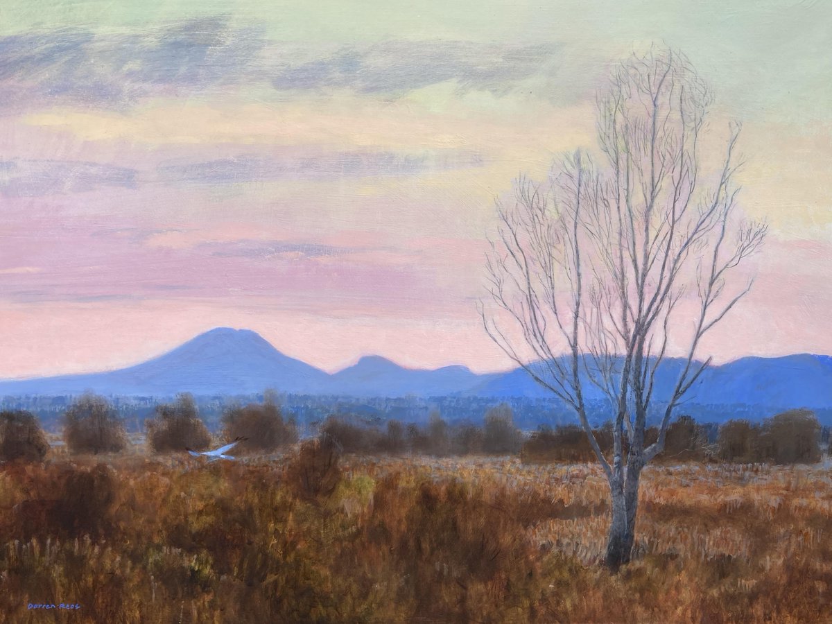 The exhibition is still available to browse &amp; buy online. Visit Mall Galleries website, click on buy art. Some stunning work inspired by nature. John Dobbs,John Foker, Rachel Lockood, Darren Rees #wildlifeart