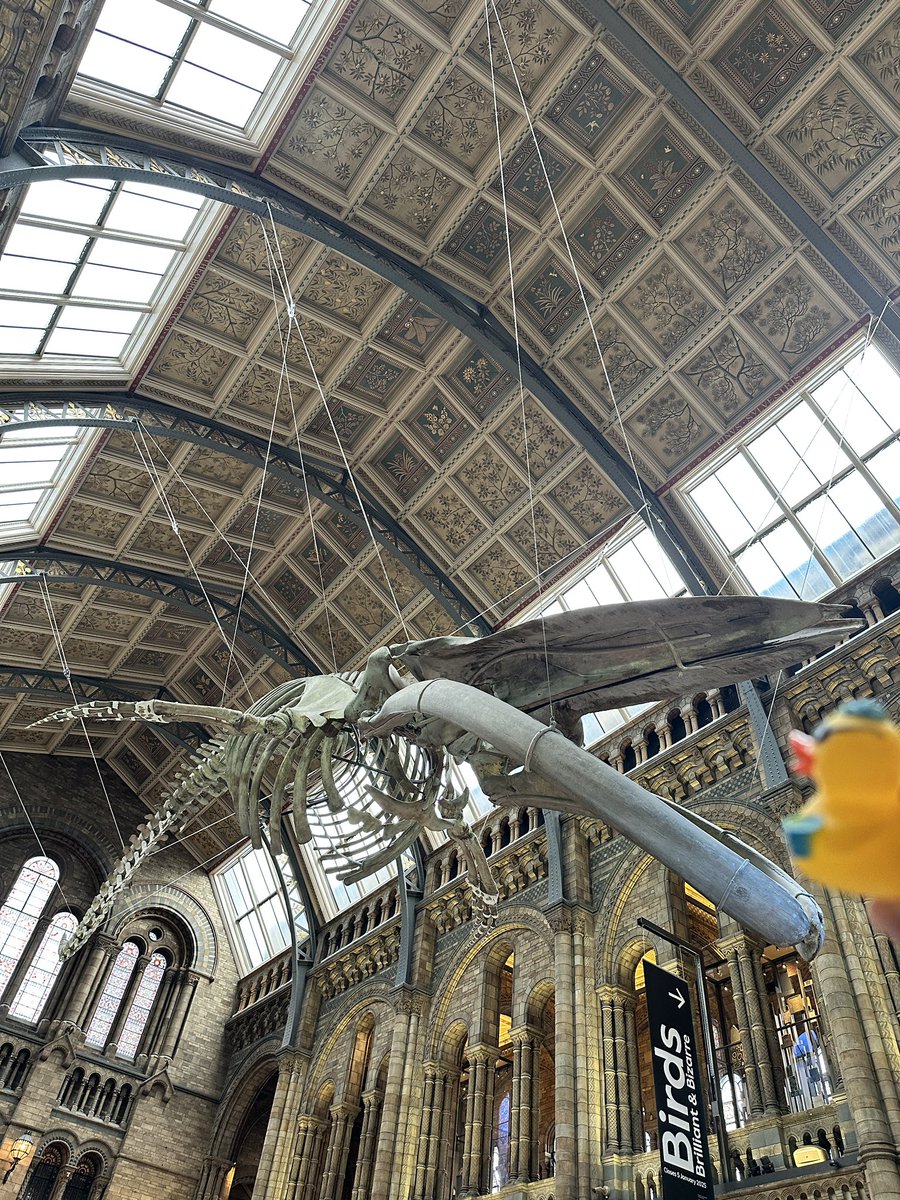 ohreallyhells's tweet photo. Happy birthday @MarDixon Dixon 🎂
Miss you so very much 😘

Thought I should try to use one of the daft things I’d picked up from your memorial to mark the day. I know my work was one of your favourite museums, so it felt fitting 😂🤣 https://t.co/vw872h032I