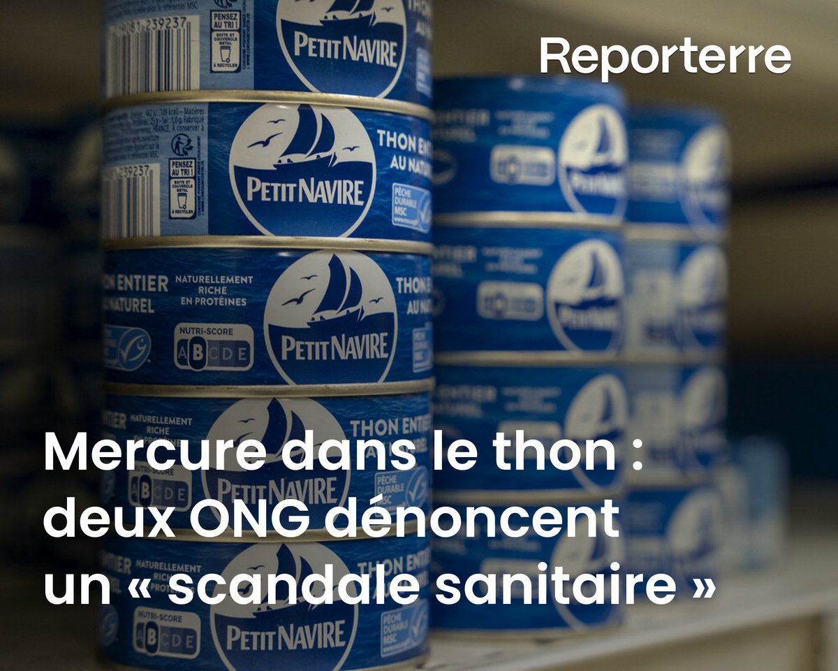 Après avoir analysé 148 boîtes de thon, l'ONG Bloom révèle dans une enquête que la totalité des thons en conserve est contaminée au mercure.

Un scandale sanitaire d'une ampleur inédite.

Lire l'article ➡️ l.reporterre.net/7R2