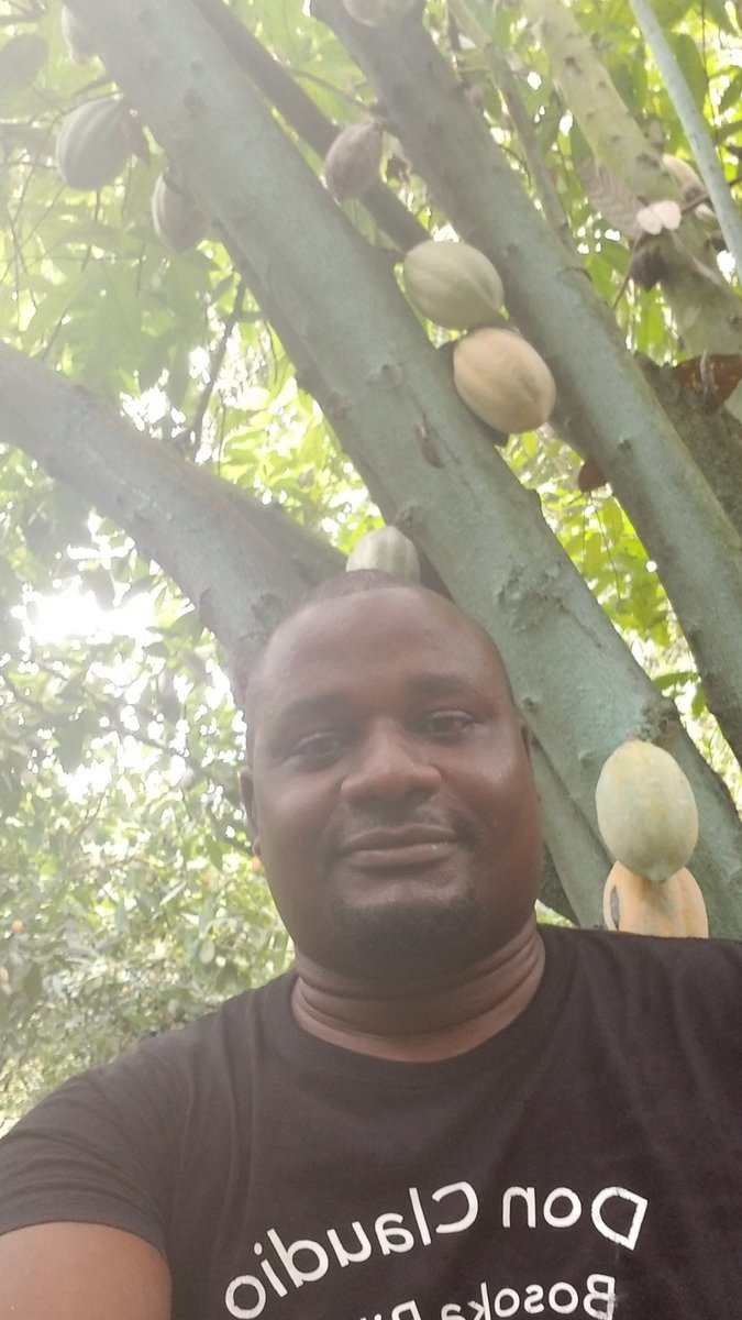 Bosoka Jr. tweet media