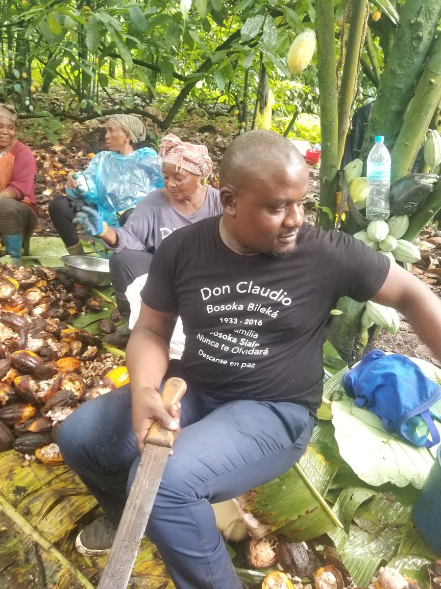 Bosoka Jr. tweet media