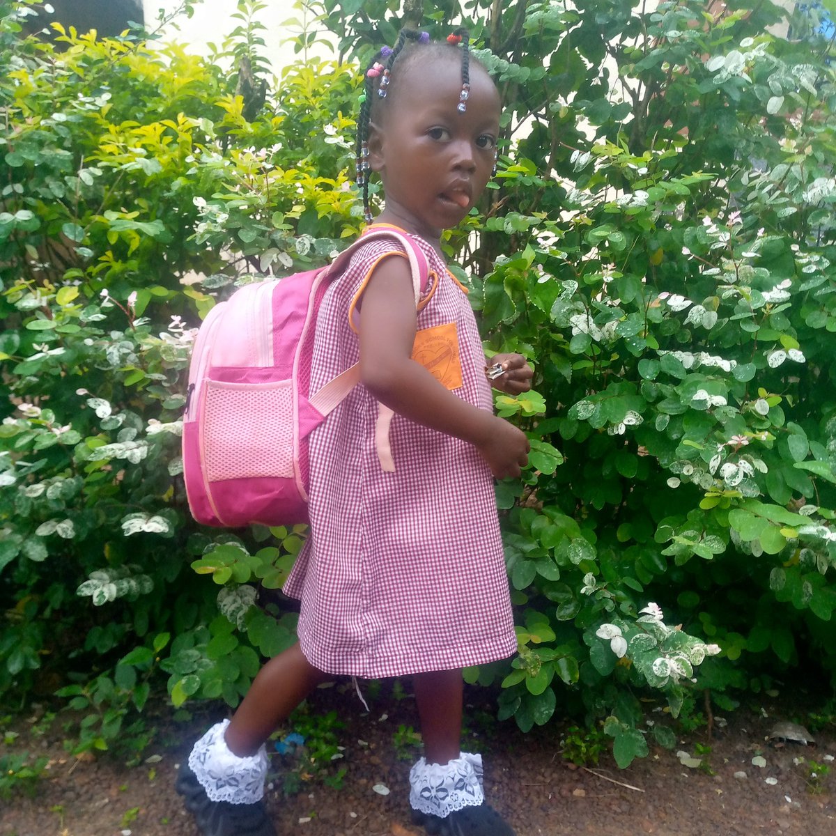 Apc_iG_scatter's tweet image. #NewProfilePic