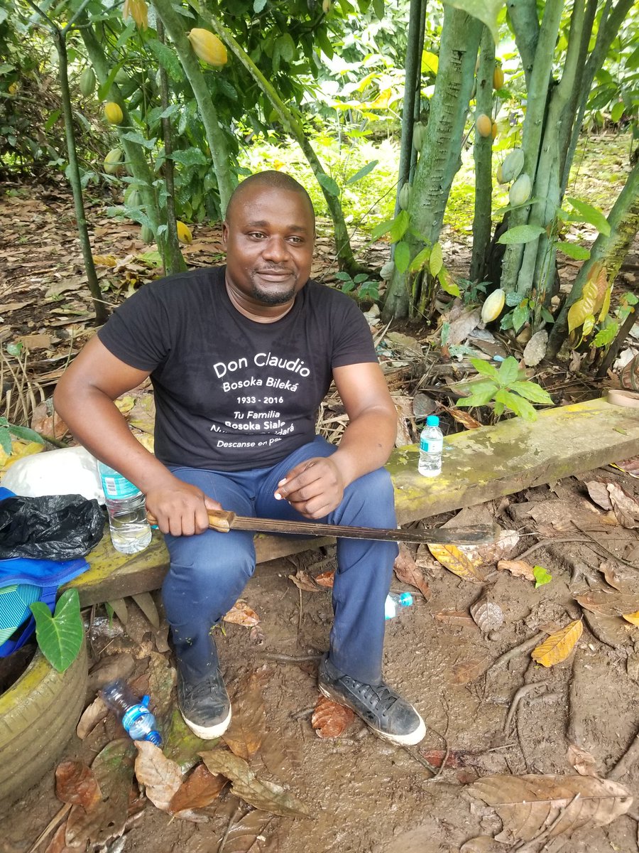 Bosoka Jr. tweet media