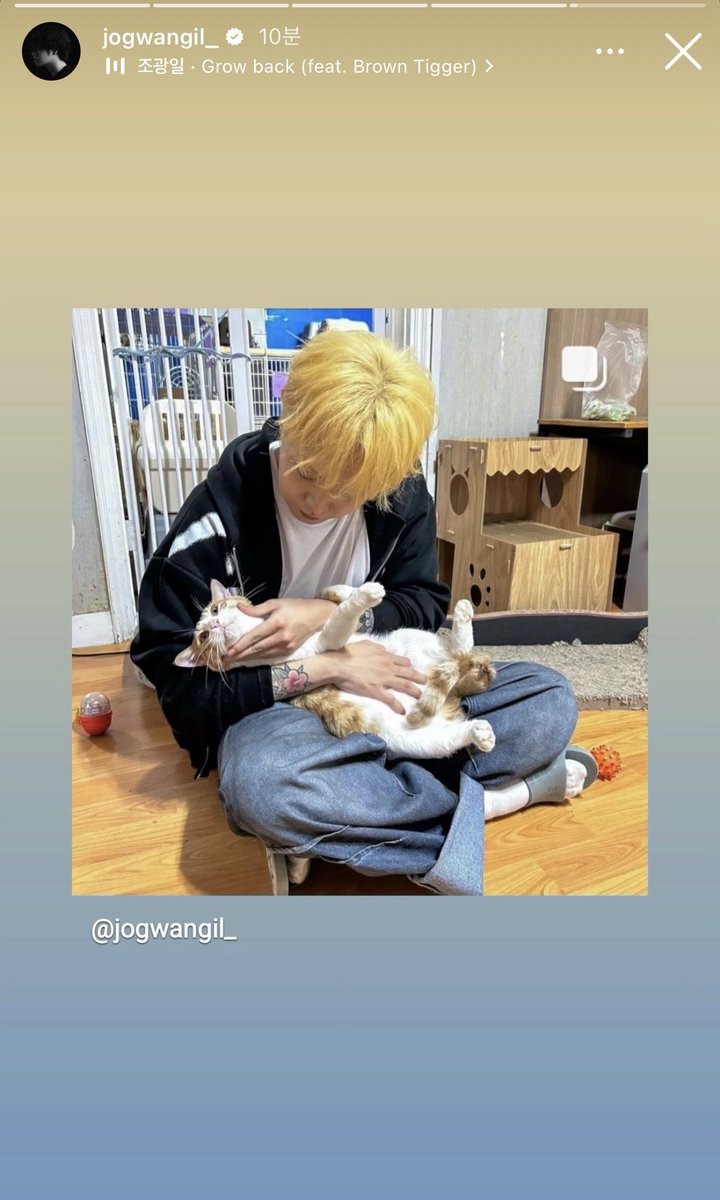 GwangilDay's tweet photo. 🐾 https://t.co/vfEMwwFjh4