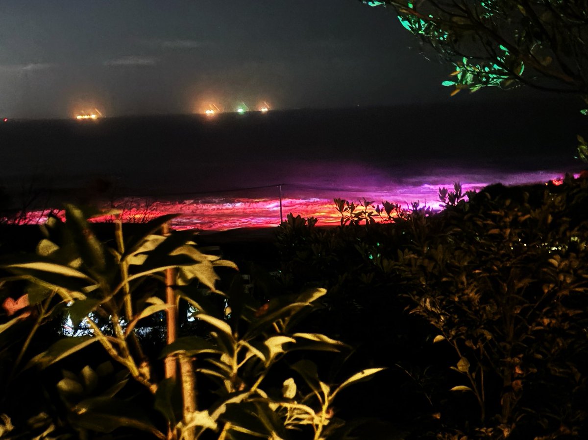 「もう何日か過ぎましたが、誕生日は北茨城のチームラボ行ってきました温泉もめっちゃ幻」|ちょののイラスト