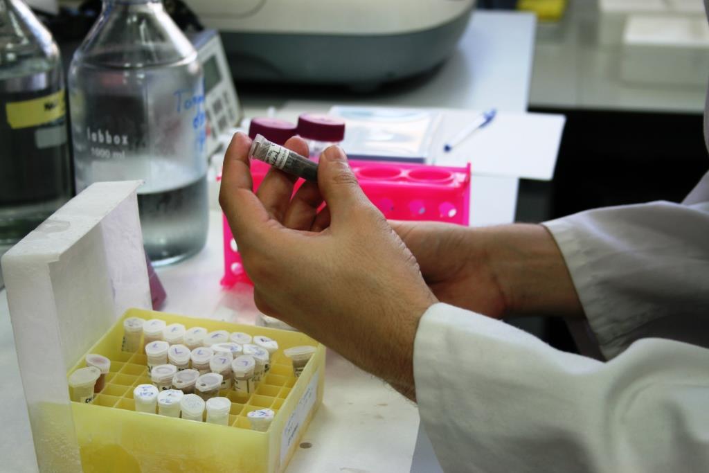 Investigación US (@investigaus) on Twitter photo Abierta la convocatoria de Contratos Predoctorales (PIF) para el desarrollo del programa propio de I+D+i de la <a href="/unisevilla/">Universidad de Sevilla</a>
investigacion.us.es/noticias/abier…
Plazo hasta el 26 de noviembre Abierta la convocatoria de Contratos Predoctorales (PIF) para el desarrollo del programa propio de I+D+i de la <a href="/unisevilla/">Universidad de Sevilla</a>
investigacion.us.es/noticias/abier…
Plazo hasta el 26 de noviembre