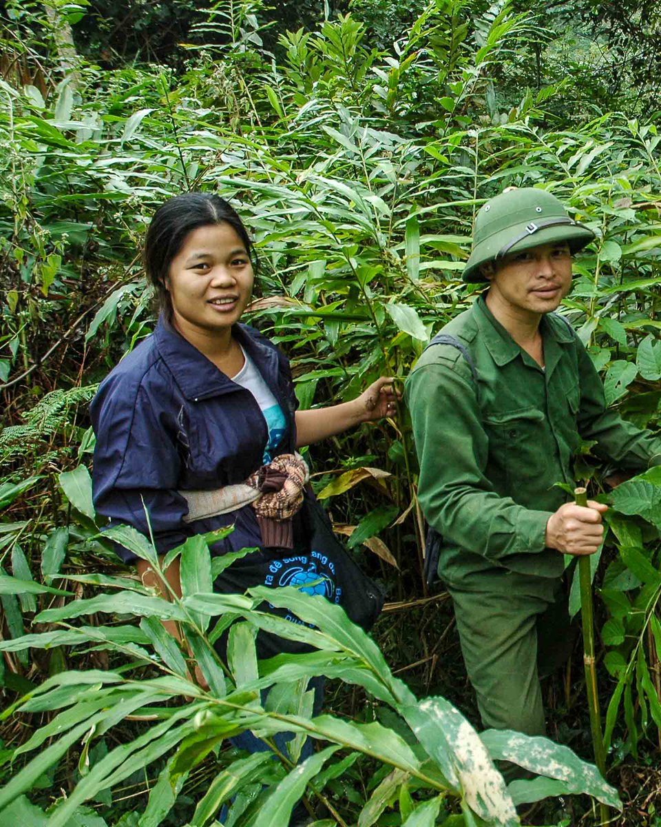 TRAFFIC_WLTrade's tweet image. π¨ HUGE new Β£4.17M funding for nature & communities! ππ
We're thrilled to announce a major grant from Arcadia Fund to tackle illegal wildlife trade & build safe, sustainable trade in wild species.
Discover more π loom.ly/IAmrupw
#SustainableTrade @UNBiodiversity