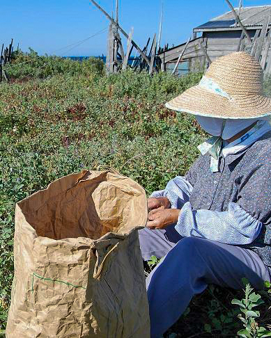 TRAFFIC_WLTrade's tweet image. π¨ HUGE new Β£4.17M funding for nature & communities! ππ
We're thrilled to announce a major grant from Arcadia Fund to tackle illegal wildlife trade & build safe, sustainable trade in wild species.
Discover more π loom.ly/IAmrupw
#SustainableTrade @UNBiodiversity
