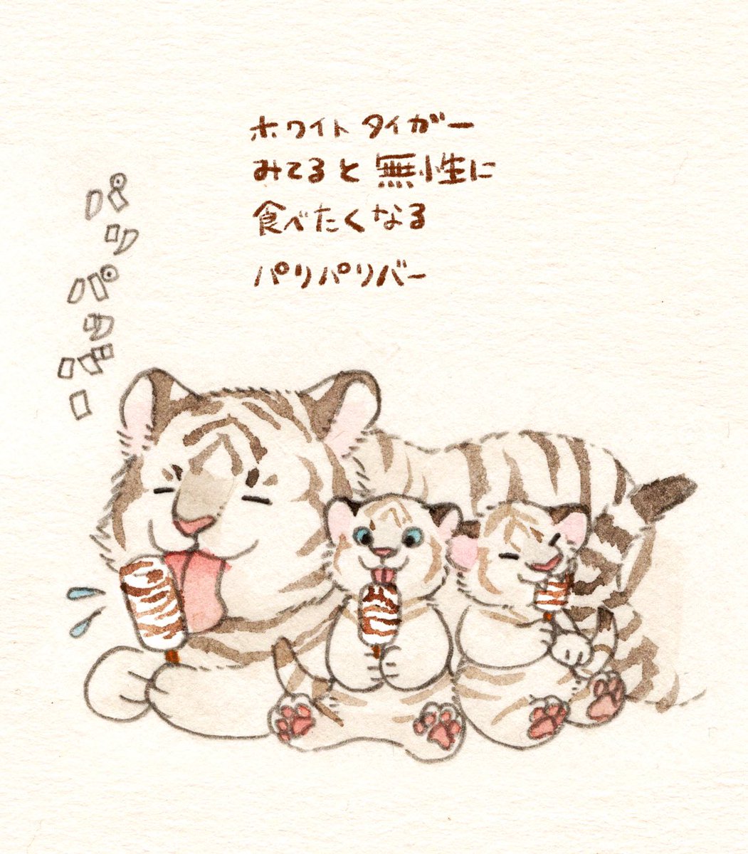 最近は伊豆アニマルキングダムの夜間ライブカメラを観ています 
