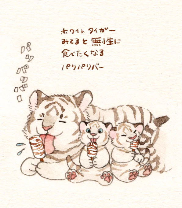最近は伊豆アニマルキングダムの夜間ライブカメラを観ています 