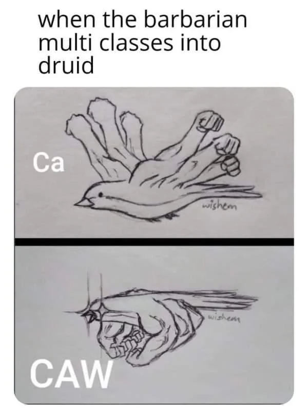 Epic DND Memes tweet media