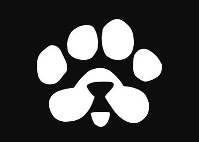 Do you believe PAWS will cook ? 

A. Yes
B. No

🐾 #PAWS 🐾 $TON 🐾 $PAWS