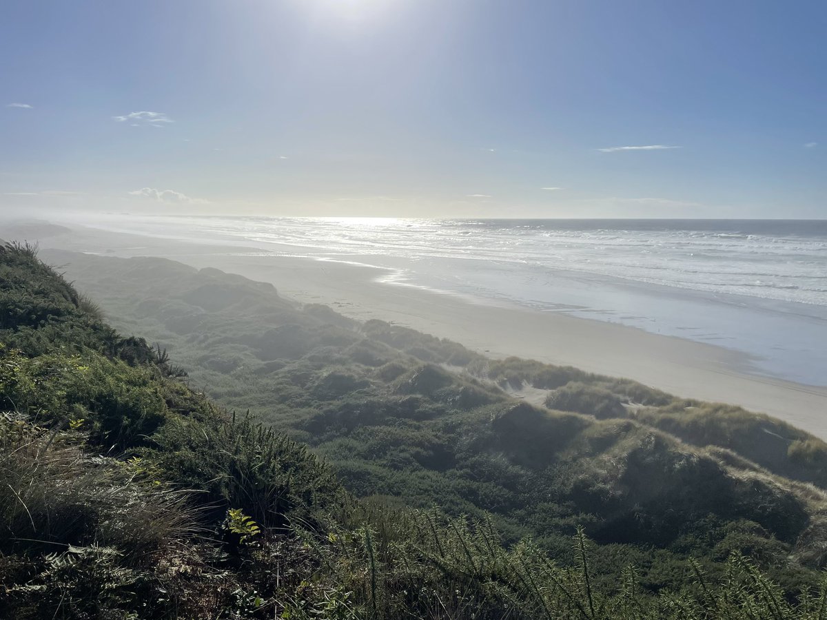 Pat Jones tweet media