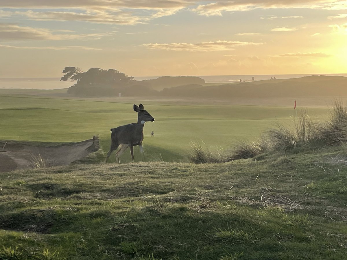 Pat Jones tweet media