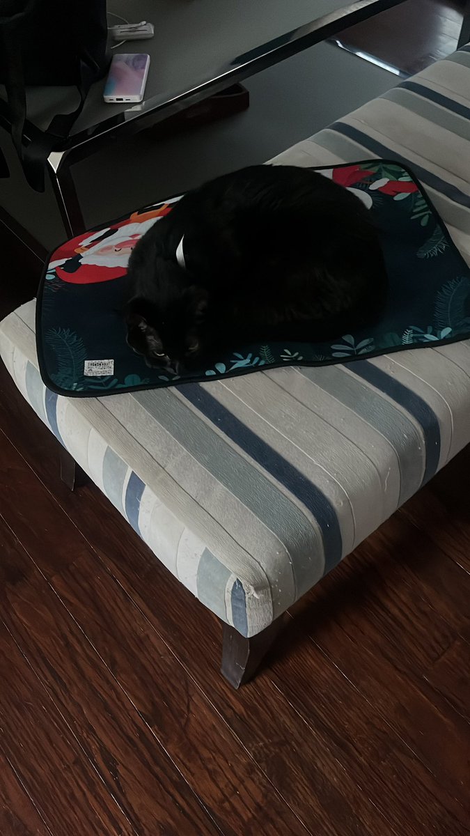 Cinthya Del Portillo tweet media