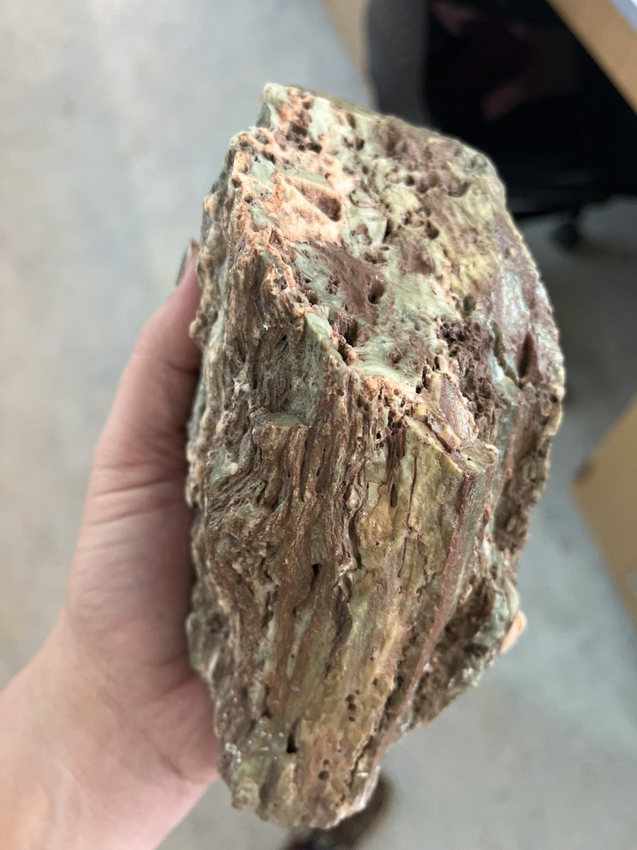 Paleowin's tweet photo. Pros of older geology collections: really cool rocks! 
Cons of older geology collections: zero information about where it’s from, who collected it, what it is… parts look like petrified wood, parts just look like chert. Cool colors! https://t.co/hSVal0X0C5