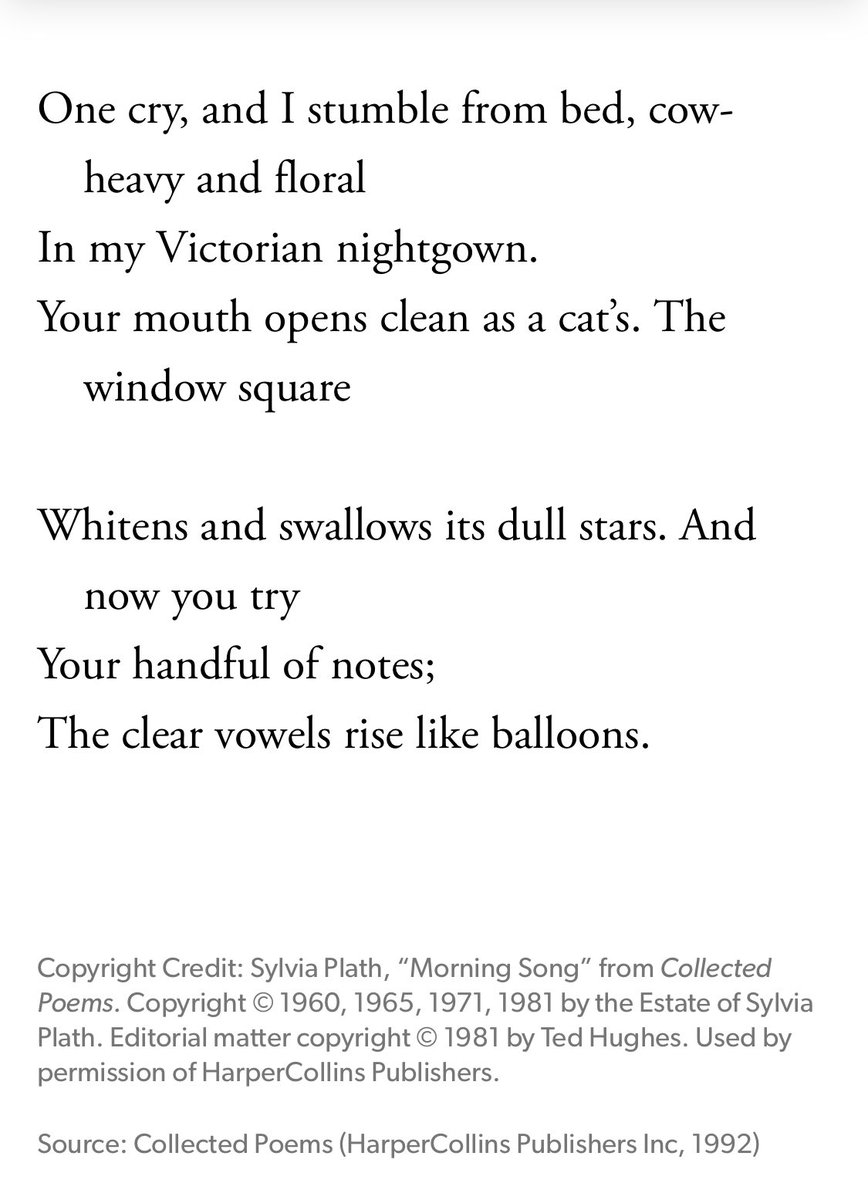 flix2fly's tweet photo. @Joseph_Fasano_ Morning Song by Sylvia Plath #poetry https://t.co/6J0WdZkMkq