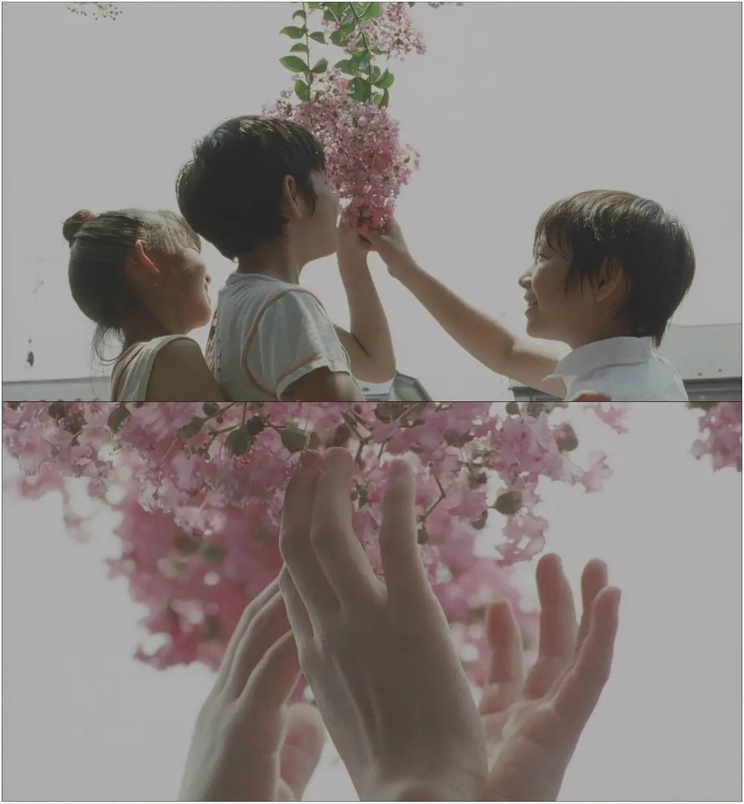 离岛islands tweet media