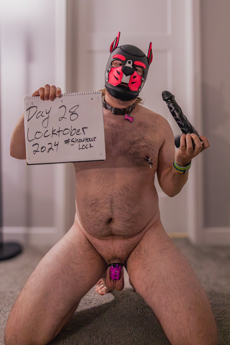 pup_sci's tweet photo. Day 28 of #locktober thank you to my new friends @cagedNatty and @BearPig77xxx for this pose recommendation! Y’all are really cool! Also only a few more days till locktober is done! @MrSLeather #ShowYourLock https://t.co/cIlktRXaQP