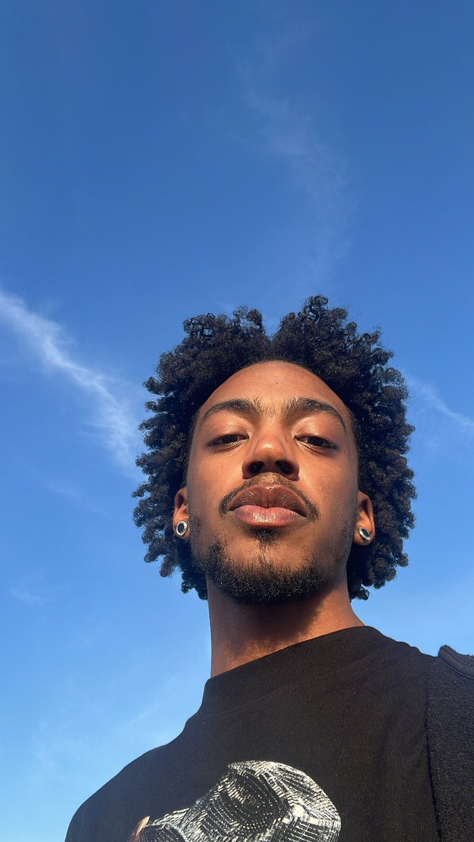 miles mccalister🕸️ tweet media