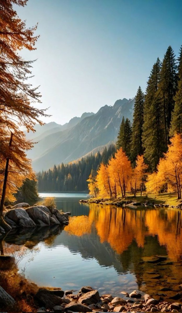jatin4012's tweet photo. Good morning X ☘️🌞
#NaturePhotography #NatureTherapy 
#NatureIsLife #TuesdayFeeling 
#MorningVibes #NatureBeauty https://t.co/qa7A5A1EDV