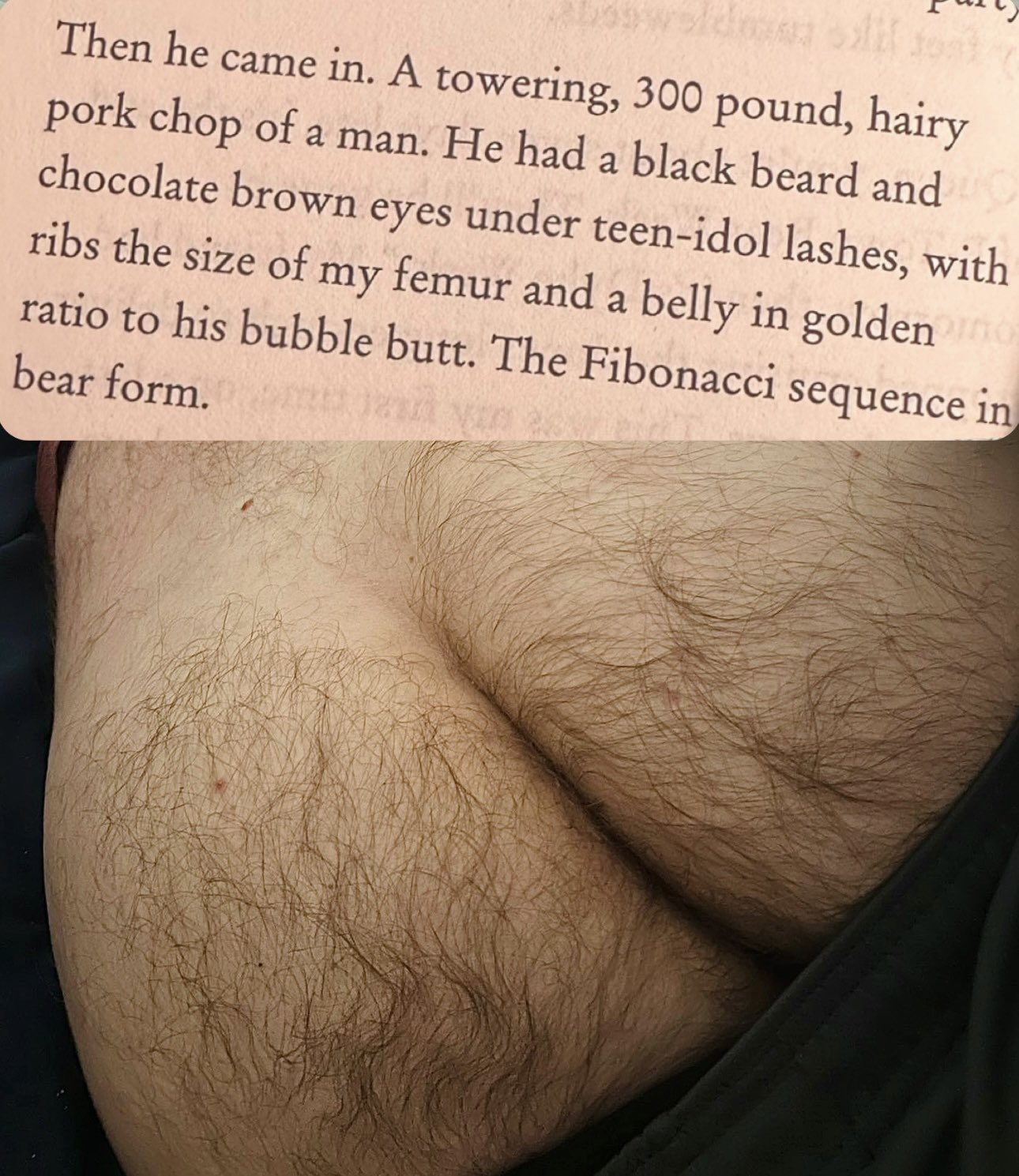 hairy ass  / X