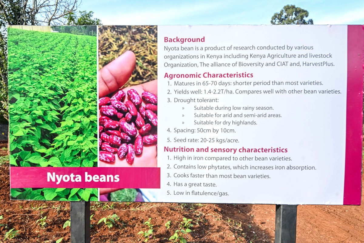 Mama Rachel Ruto, EGH tweet media