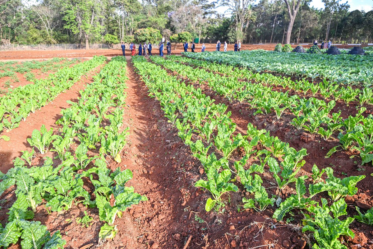 Mama Rachel Ruto, EGH tweet media