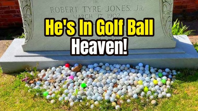 dril's tweet photo. hes in golf ball heaven https://t.co/seZrdlb5zs