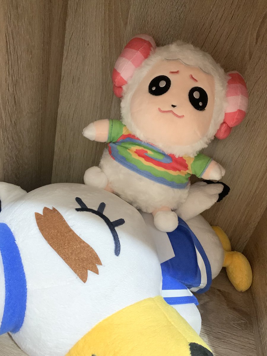 Johnnyfoo2020's tweet photo. 茶茶丸 不要玩啦~
#どうぶつの森 
#ちゃちゃまる
#AnimalCrossing https://t.co/zxw2D7ri2R