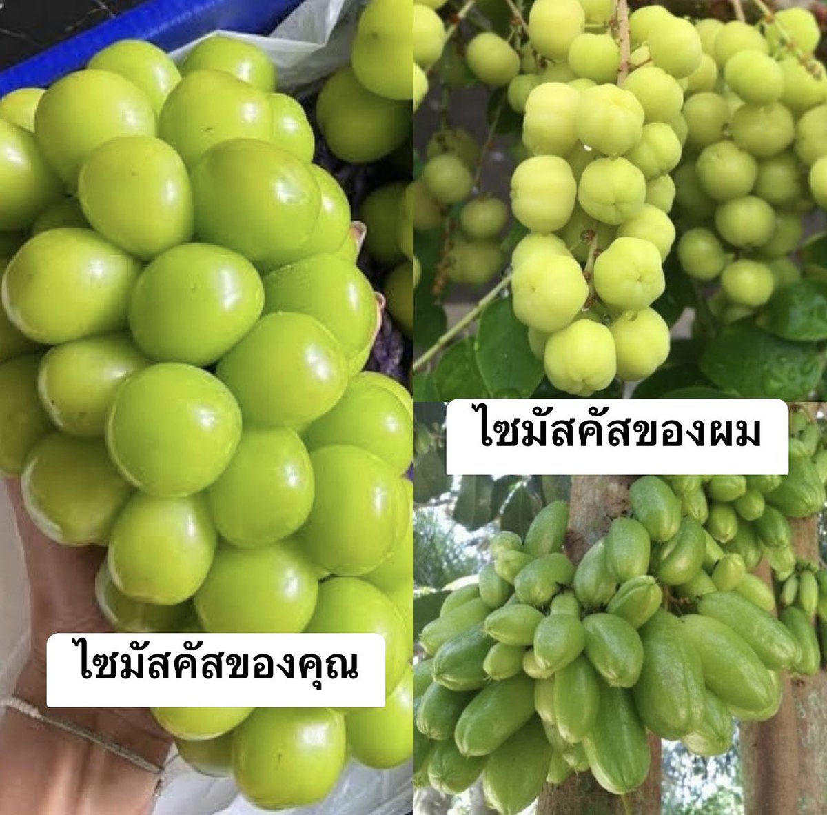 •บาร์จเฉยๆ• tweet media