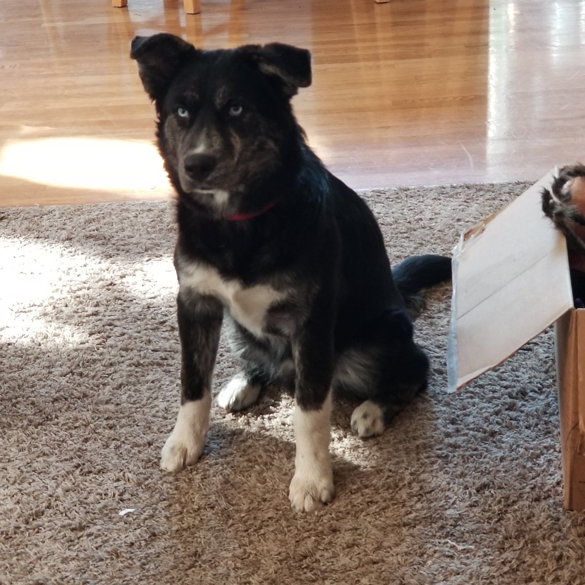 Liz 🇺🇸🦅 tweet media