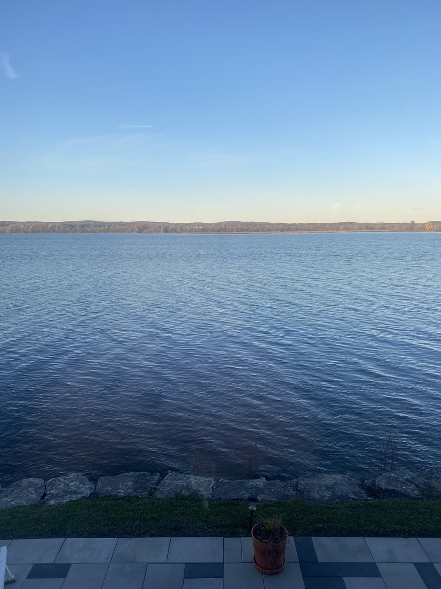 Jacci Dorran Holowath tweet media