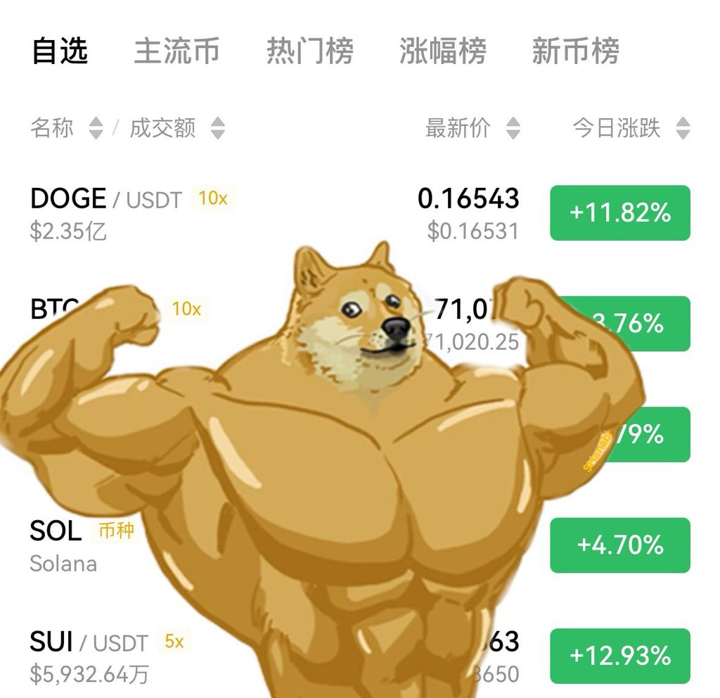 今天的狗狗很强啊！！<a href="/elonmusk/">Elon Musk</a>