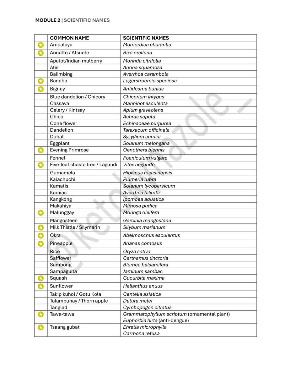 kyla, RPh tweet media