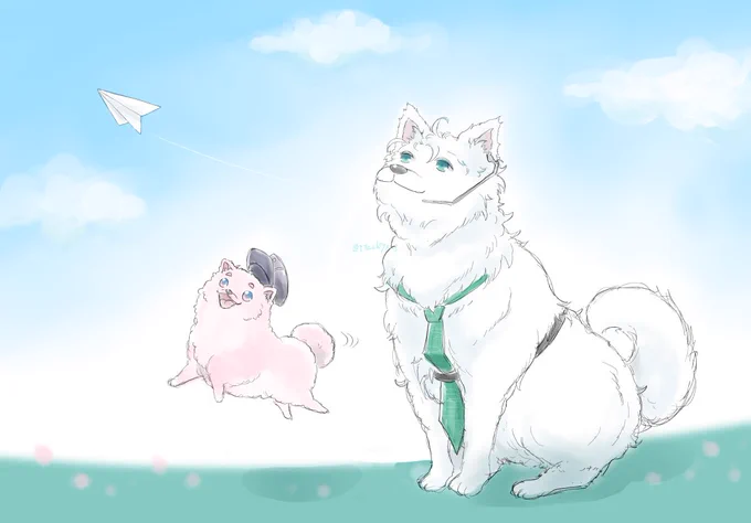 ポメ秋田くんとサモエド雲生さん 