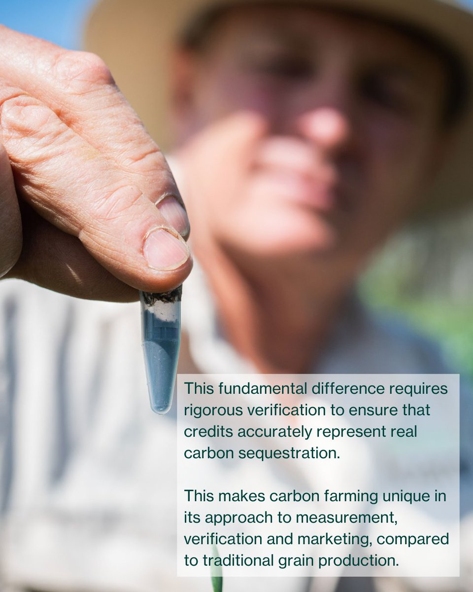 Ever wondered what a carbon crop really is? We've got the dirt! 🌱🔍
