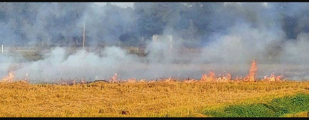 The Tribune (@thetribunechd) on Twitter photo .<a href="/thetribunechd/">The Tribune</a> deep dive into how the #farmfires are following the harvesting cycle, moving from #Majha to #Malwa. #Malwa accounts for over 80% of farm fires. <a href="/RuchikaMKhanna/">Ruchika M. Khanna</a>
#stubbleburning #punjab
tribuneindia.com/news/punjab/pa… .<a href="/thetribunechd/">The Tribune</a> deep dive into how the #farmfires are following the harvesting cycle, moving from #Majha to #Malwa. #Malwa accounts for over 80% of farm fires. <a href="/RuchikaMKhanna/">Ruchika M. Khanna</a>
#stubbleburning #punjab
tribuneindia.com/news/punjab/pa…